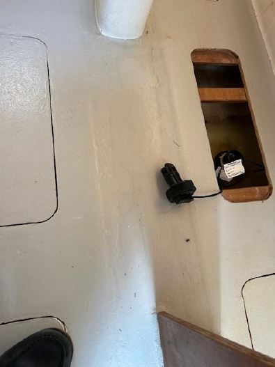 photo vente REARD&nbsp;CLASSIC 38 XL