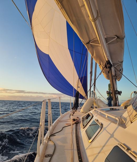 photo vente GARCIA&nbsp;PASSOA 50