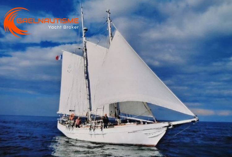 photo vente MACOSA &nbsp;SPOUNTZ 44