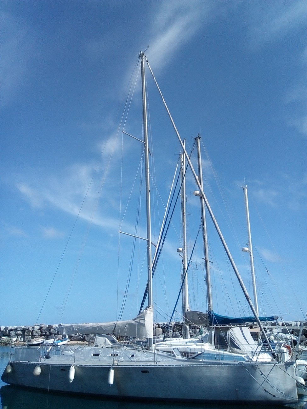 photo Shark 45