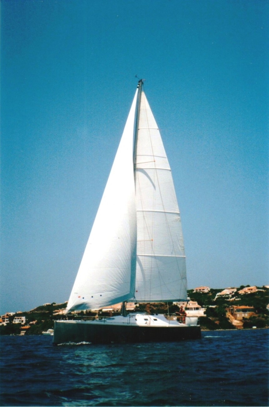 photo Shark 45