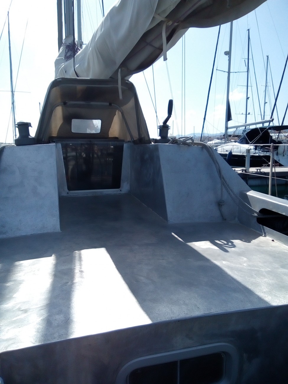 photo Shark 45